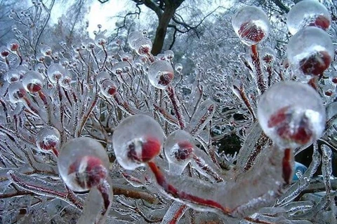 Le sommet de la montagne Phia Oac recouvert de glace blanc 