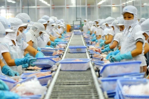 Près de 700 entreprises vietnamiennes éligibles à l'exportation des produits aquatiques vers Taïwan