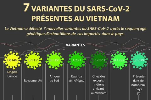 7 nouvelles variantes du SARS-CoV-2 présentes au Vietnam