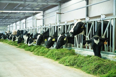 Les exportations de produits de l'élevage progressent de 44% en 5 mois