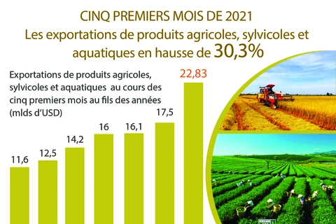 Les exportations de produits agricoles,sylvicoles et aquatiques en hausse de 30,3% en 5 mois