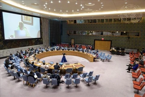 ONU : le Vietnam apprécie l'importance des élections opportunes en Libye