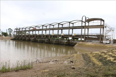 L’affaissement et la salinisation dans le delta du Mékong interpellent les experts