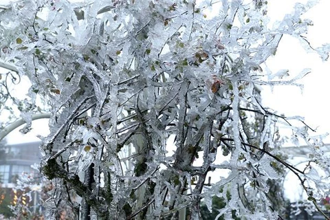 Le froid de canard persiste dans le Nord jusqu’au 24 février