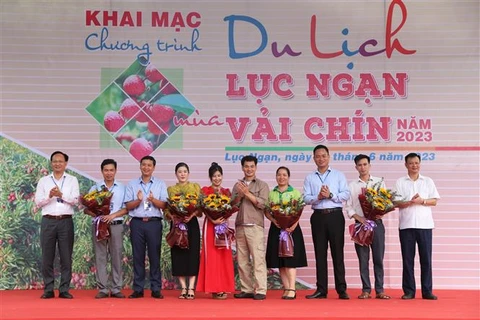 Bac Giang : programme touristique à la saison des litchis mûrs de Luc Ngan 2023