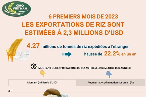 Au premier semestre 2023, les exportations de riz sont estimées à 2,3 milliards d'USD