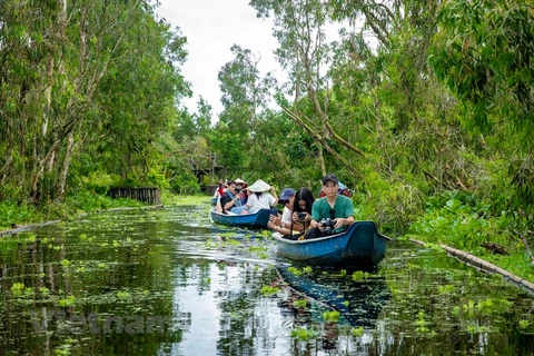 Découvrir la forêt de cajeputiers de Trà Su, une destination à l’âme botanique