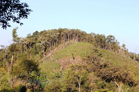 100.000 ha de forêt à gérer de manière durable chaque année