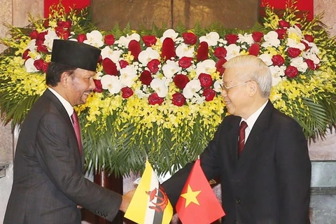 Vietnam-Brunei : entretien entre Nguyen Phu Trong et Haji Hassanal Bolkiah