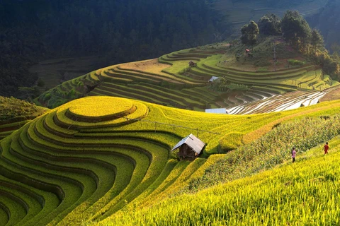 Mu Cang Chai parmi les destinations les plus colorées au monde