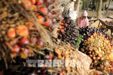 L'Indonésie impose des ventes intérieures obligatoires d'huile de palme