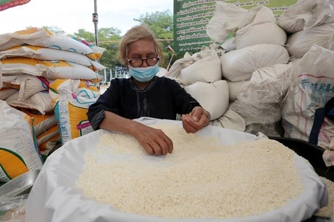 Les exportations de riz de la Thaïlande devraient dépasser huit millions de tonnes