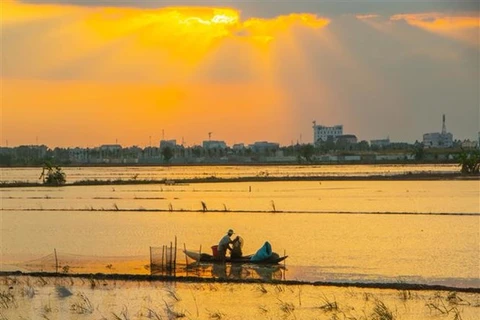 Développement économique dans le delta du Mékong : relancer l'élan 
