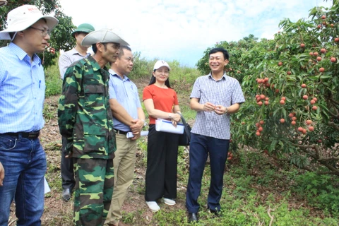 Bac Giang déploie des projets technologiques au service de son développement socio-économique