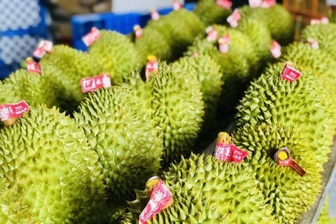 Affirmer la position du durian dans le club des produits exportations d'un milliard de dollars