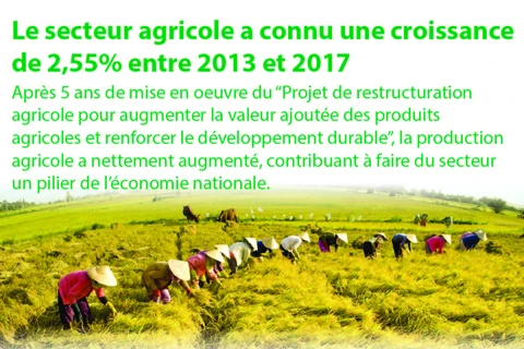 Le secteur agricole a connu une croissance de 2,55% entre 2013 et 2017