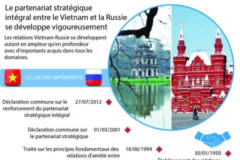 Développement du partenariat stratégique intégral Vietnam-Russie