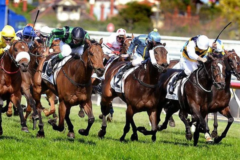 Hanoï compte construire un hippodrome à Soc Son