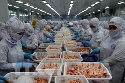 Exportations de crevettes : 4,2 milliards de dollars visés cette année