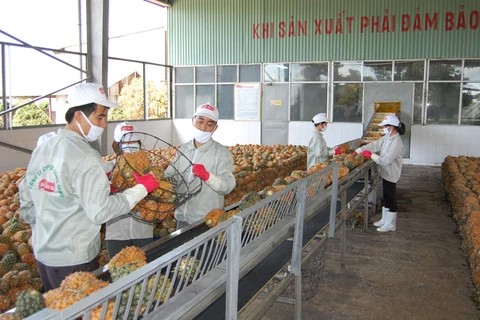 Exportations de produits agricoles en Chine : défis et opportunités
