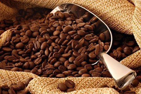 Large opportunité pour les exportations de café vers l’UE 