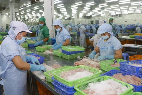 Le poisson tra vietnamien domine toujours sur le marché chinois