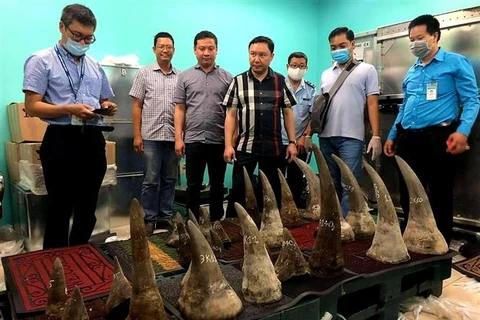 Découverte d’objets semblables à des cornes de rhinocéros à Tan Son Nhat