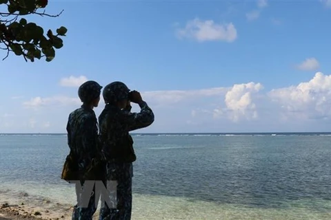 Mer Orientale : la position du Vietnam sur le règlement des différends est claire et constante