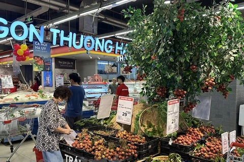 Le Vietnam cherche à promouvoir ses exportations de fruits