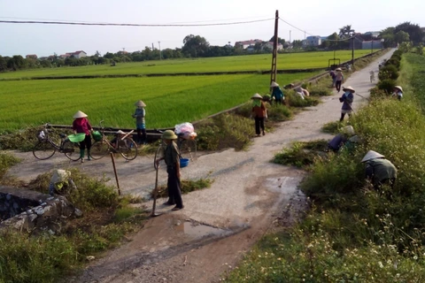 Nouvelle Ruralité : Plus de 1.300 milliards de dongs pour des infrastructures à Hung Yen