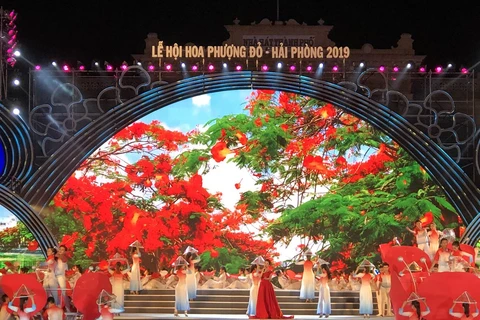 COVID-19: annulation du Festival des fleurs de flamboyants rouges de Hai Phong 2020