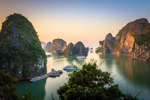 Quang Ninh : Divers activités organisées cet été à Ha Long pour promouvoir le tourisme