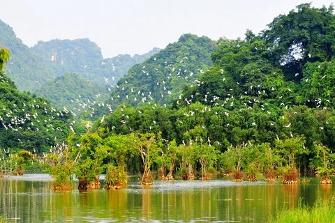 Le Vietnam parmi les 16 pays les plus riches en biodiversité