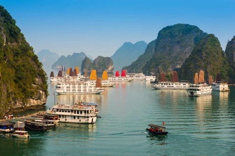 Quang Ninh, Phu Yen et Gia Lai s'efforcent de promouvoir le tourisme