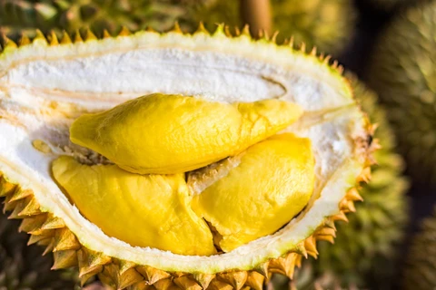 Promouvoir le durian vietnamien sur le marché australien