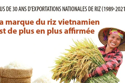 Plus de 30 ans d'exportations de riz: La marque du riz vietnamien est de plus en plus affirmée