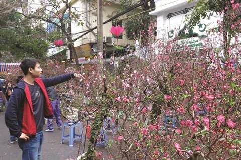  Les cinq marchés aux fleurs du Têt réputés de Hanoï