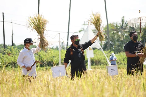 L'Indonésie appelle ses régions à promouvoir l'agrotourisme