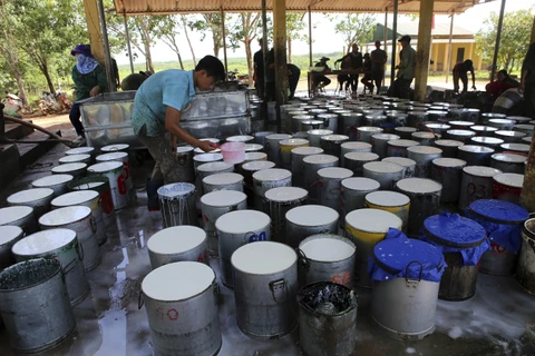 Sept mois: Le Vietnam exporte 23.510 tonnes de caoutchouc aux États-Unis