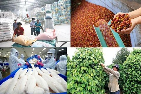 Les exportations de produits agro-sylvicoles et aquatiques affichent 35,5 milliards de dollars 