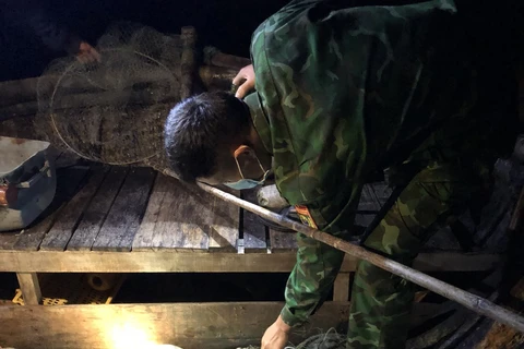 Quang Binh: une tortue olivâtre de 120 kg est relâchée à la mer