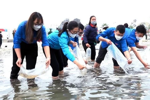 Quang Ninh lâche 2,3 millions d'alevins de poisson dans la baie de Bai Tu Long