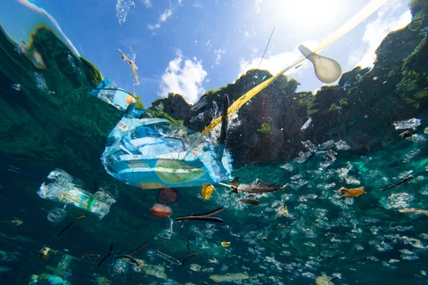 Pollution marine: Plus de plastique que de poisson dans l'océan d’ici 2050