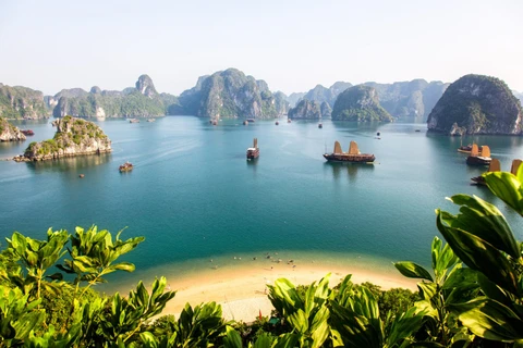 Le Vietnam figure dans le top 10 des destinations préférées des touristes australiens