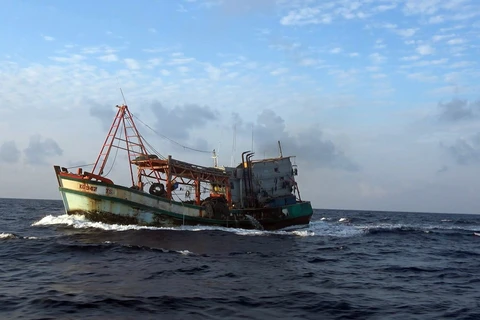 Pêche INN : Kien Giang déterminée à lever le "carton jaune" de la CE