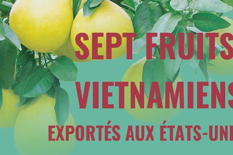 Sept fruits vietnamiens officiellement autorisés à exporter vers les États-Unis