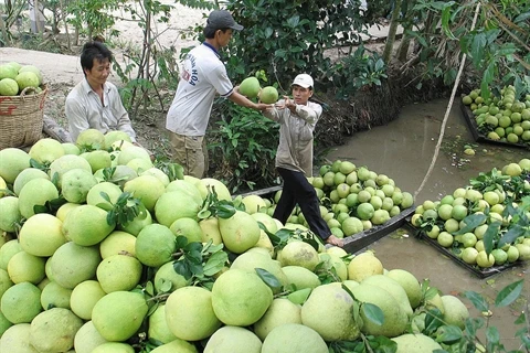 Le secteur des fruits et légumes vise 10 milliards de dollars d’exportations pour 2025