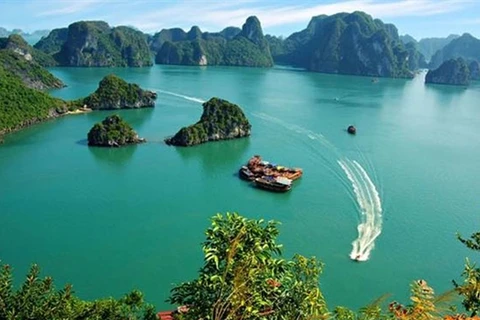 Promotion de la coopération touristique entre le Vietnam et l'Indonésie