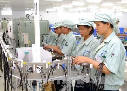 Hô Chi Minh-Ville: près de 1.900 entreprises créées à la mi-janvier