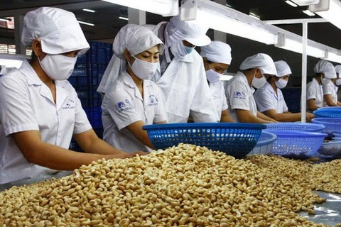Le secteur de la noix de cajou cherche à accroître la valeur des exportations